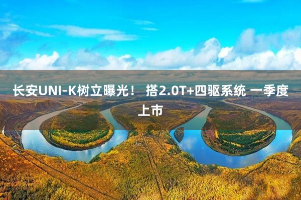 长安UNI-K树立曝光！ 搭2.0T+四驱系统 一季度上市