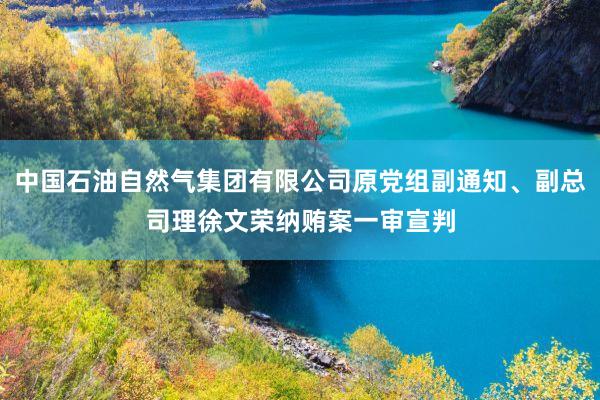 中国石油自然气集团有限公司原党组副通知、副总司理徐文荣纳贿案一审宣判