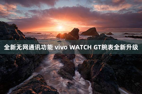 全新无网通讯功能 vivo WATCH GT腕表全新升级