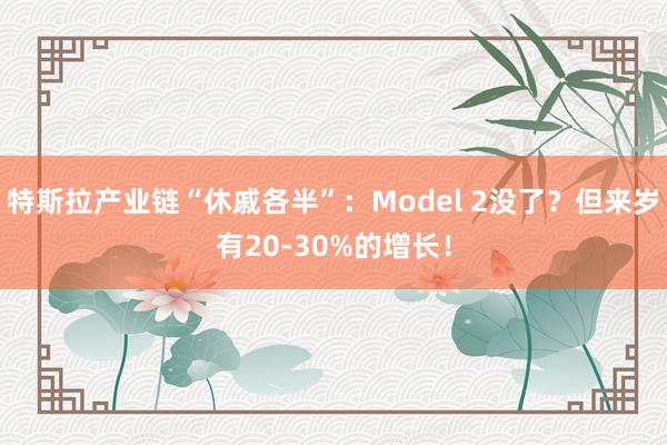 特斯拉产业链“休戚各半”：Model 2没了？但来岁有20-30%的增长！