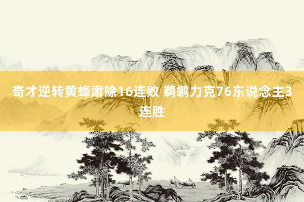 奇才逆转黄蜂肃除16连败 鹈鹕力克76东说念主3连胜