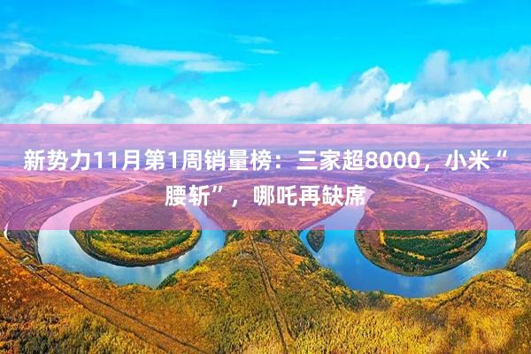 新势力11月第1周销量榜：三家超8000，小米“腰斩”，哪吒再缺席