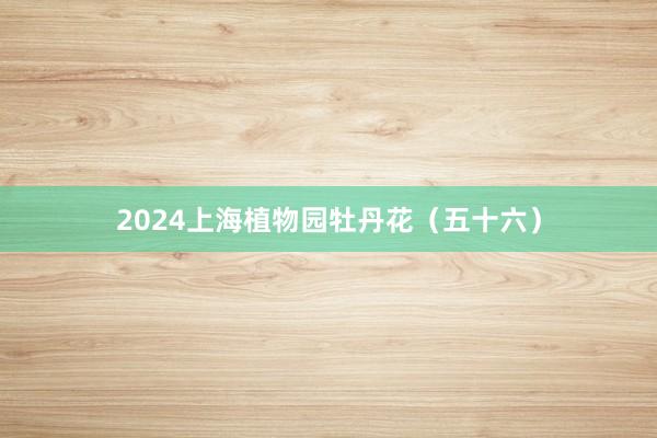 2024上海植物园牡丹花（五十六）