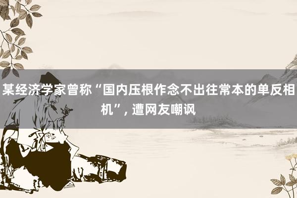 某经济学家曾称“国内压根作念不出往常本的单反相机”, 遭网友嘲讽