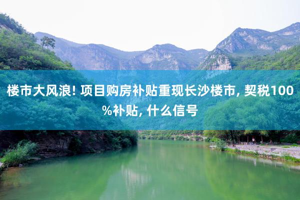 楼市大风浪! 项目购房补贴重现长沙楼市, 契税100%补贴, 什么信号